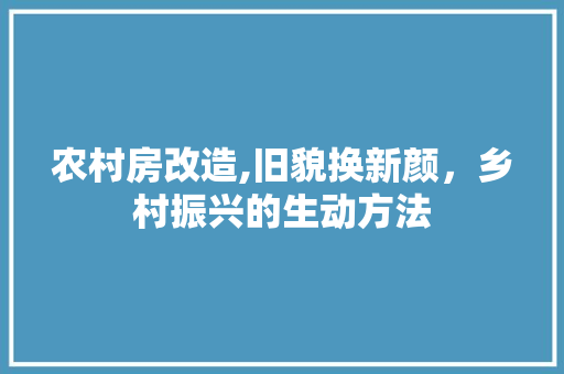 农村房改造,旧貌换新颜，乡村振兴的生动方法 设计原则