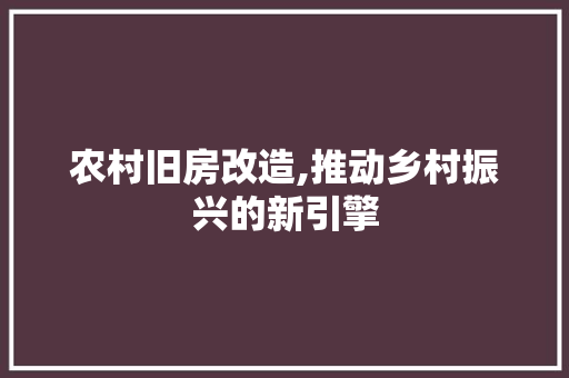 农村旧房改造,推动乡村振兴的新引擎