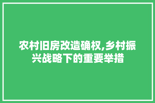 农村旧房改造确权,乡村振兴战略下的重要举措