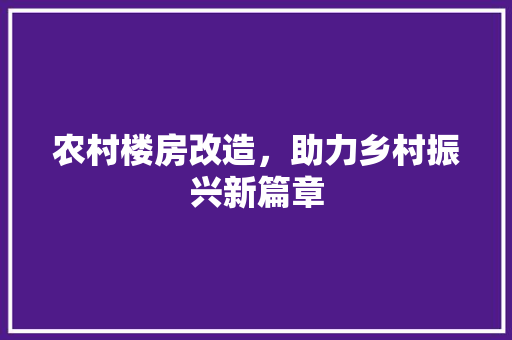 农村楼房改造，助力乡村振兴新篇章