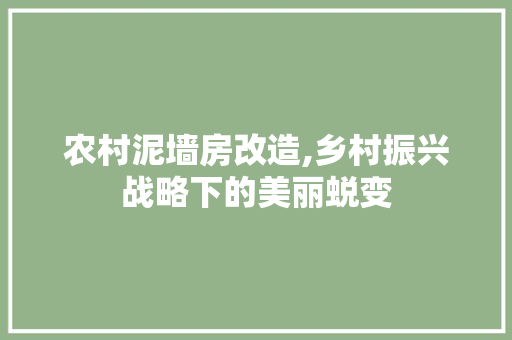 农村泥墙房改造,乡村振兴战略下的美丽蜕变