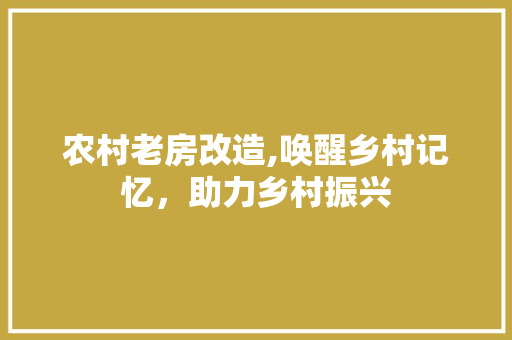 农村老房改造,唤醒乡村记忆，助力乡村振兴 材料设备