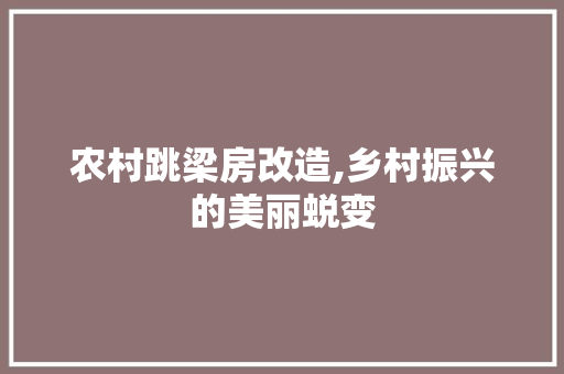 农村跳梁房改造,乡村振兴的美丽蜕变