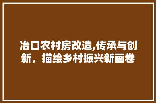 冶口农村房改造,传承与创新，描绘乡村振兴新画卷 常用建材