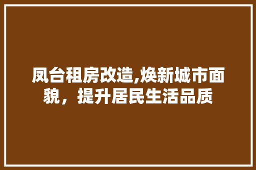 凤台租房改造,焕新城市面貌，提升居民生活品质 材料设备