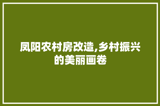 凤阳农村房改造,乡村振兴的美丽画卷 知识问答