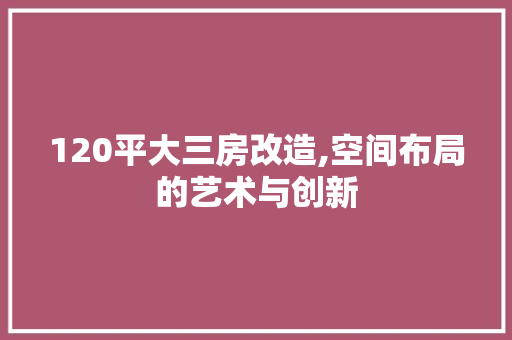 120平大三房改造,空间布局的艺术与创新