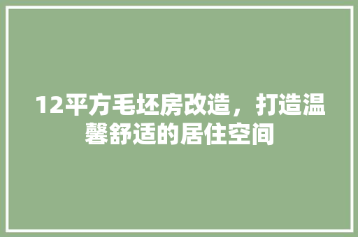 12平方毛坯房改造，打造温馨舒适的居住空间 常见问题