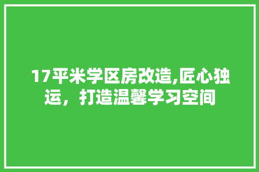 17平米学区房改造,匠心独运，打造温馨学习空间 设计原则