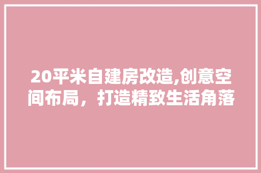 20平米自建房改造,创意空间布局，打造精致生活角落 住宅建筑设计