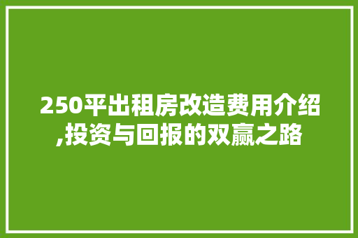 250平出租房改造费用介绍,投资与回报的双赢之路 常见问题