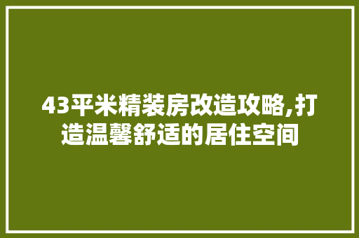 43平米精装房改造攻略,打造温馨舒适的居住空间 常用设备
