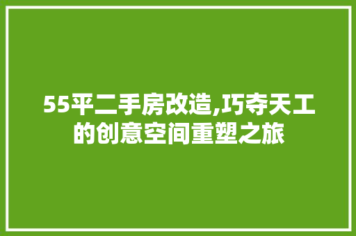 55平二手房改造,巧夺天工的创意空间重塑之旅