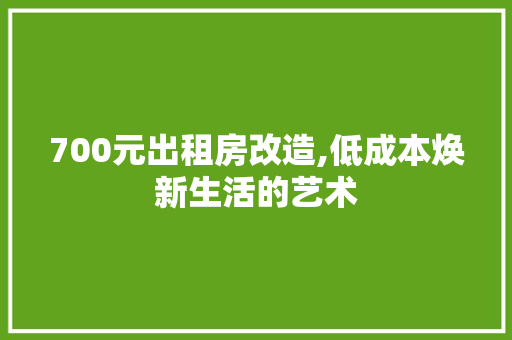 700元出租房改造,低成本焕新生活的艺术 建筑法规