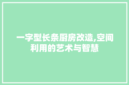 一字型长条厨房改造,空间利用的艺术与智慧