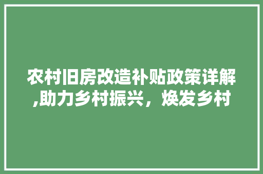 农村旧房改造补贴政策详解,助力乡村振兴，焕发乡村活力
