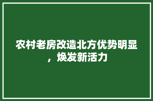 农村老房改造北方优势明显，焕发新活力