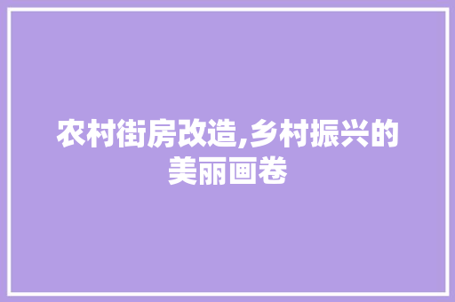 农村街房改造,乡村振兴的美丽画卷 工艺流程