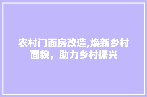 农村门面房改造,焕新乡村面貌，助力乡村振兴