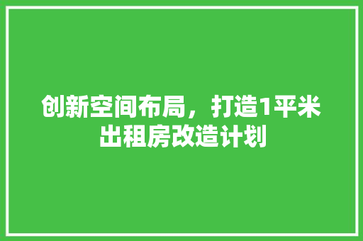 创新空间布局，打造1平米出租房改造计划