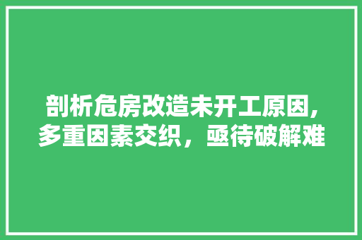 剖析危房改造未开工原因,多重因素交织，亟待破解难题