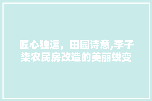 匠心独运，田园诗意,李子柒农民房改造的美丽蜕变 新型材料
