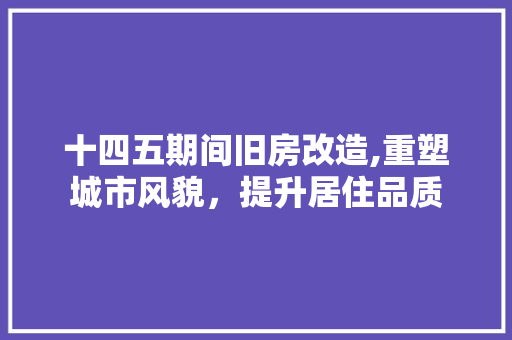 十四五期间旧房改造,重塑城市风貌，提升居住品质 施工技术