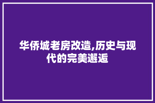 华侨城老房改造,历史与现代的完美邂逅 建筑设计