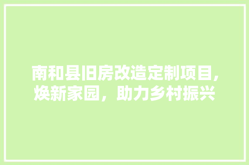 南和县旧房改造定制项目,焕新家园，助力乡村振兴