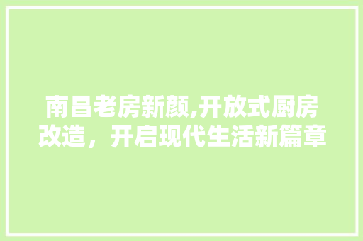 南昌老房新颜,开放式厨房改造，开启现代生活新篇章