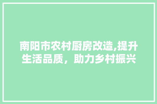 南阳市农村厨房改造,提升生活品质，助力乡村振兴 住宅建筑设计