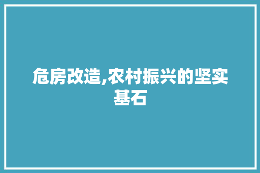 危房改造,农村振兴的坚实基石