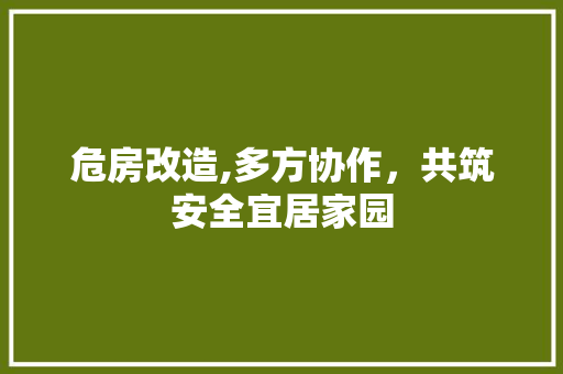 危房改造,多方协作，共筑安全宜居家园