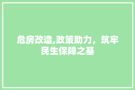 危房改造,政策助力，筑牢民生保障之基
