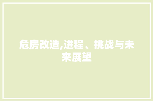 危房改造,进程、挑战与未来展望 建筑设计