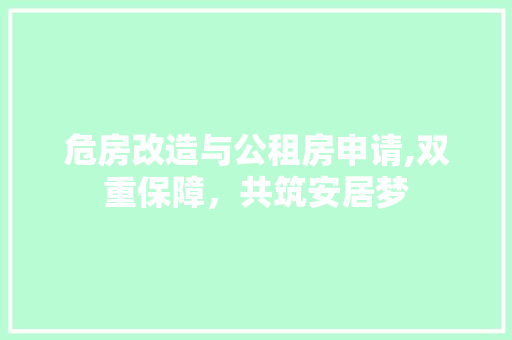 危房改造与公租房申请,双重保障，共筑安居梦