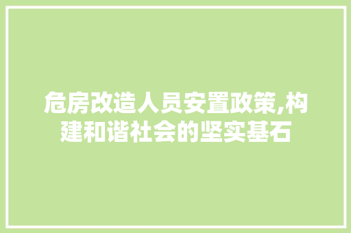 危房改造人员安置政策,构建和谐社会的坚实基石