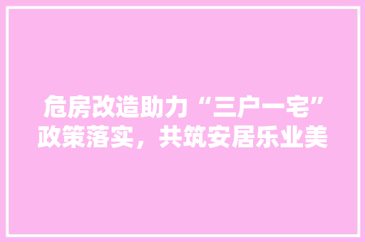 危房改造助力“三户一宅”政策落实，共筑安居乐业美好家园 常用设备
