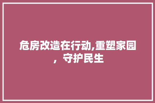 危房改造在行动,重塑家园，守护民生 常见问题