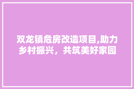 双龙镇危房改造项目,助力乡村振兴，共筑美好家园 施工工艺