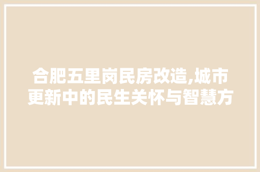 合肥五里岗民房改造,城市更新中的民生关怀与智慧方法 住宅建筑设计