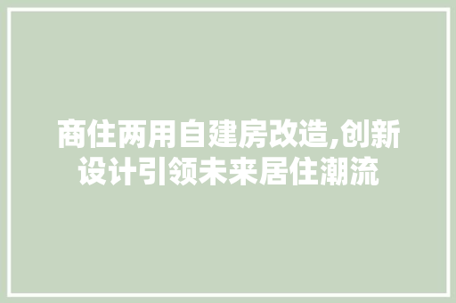 商住两用自建房改造,创新设计引领未来居住潮流