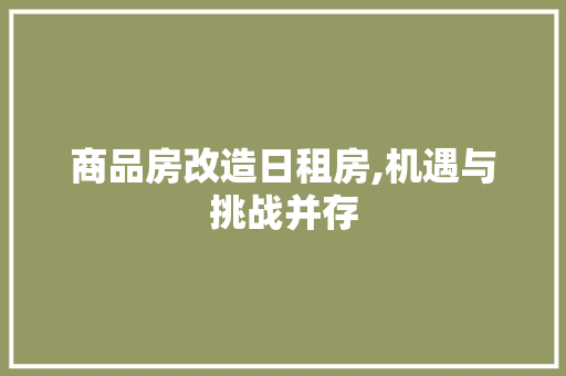 商品房改造日租房,机遇与挑战并存