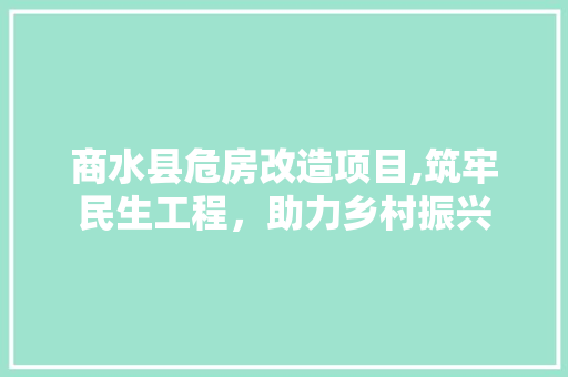 商水县危房改造项目,筑牢民生工程，助力乡村振兴