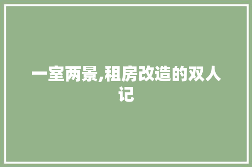一室两景,租房改造的双人记 常用建材