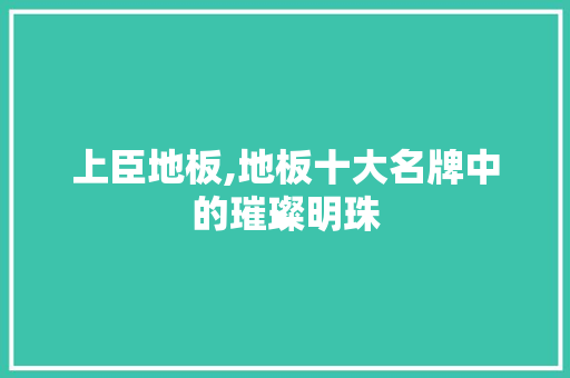 上臣地板,地板十大名牌中的璀璨明珠 生态建筑设计