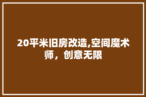 20平米旧房改造,空间魔术师，创意无限 施工管理