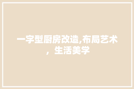 一字型厨房改造,布局艺术，生活美学