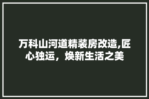 万科山河道精装房改造,匠心独运，焕新生活之美 施工管理