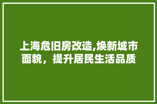 上海危旧房改造,焕新城市面貌，提升居民生活品质 施工管理